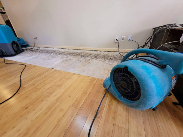 Professional Structural Drying technician working in Brown City, MI